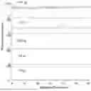 Fig. 07 - NATIVE MICROFLUIDIC CE-MS ANALYSIS OF ANTIBODY CHARGE HETEROGENEITY