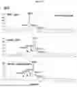 Fig. 25 - NATIVE MICROFLUIDIC CE-MS ANALYSIS OF ANTIBODY CHARGE HETEROGENEITY