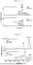 Fig. 30 - NATIVE MICROFLUIDIC CE-MS ANALYSIS OF ANTIBODY CHARGE HETEROGENEITY