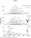 Fig. 31 - NATIVE MICROFLUIDIC CE-MS ANALYSIS OF ANTIBODY CHARGE HETEROGENEITY