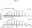 Fig. 32 - NATIVE MICROFLUIDIC CE-MS ANALYSIS OF ANTIBODY CHARGE HETEROGENEITY