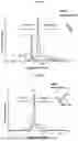 Fig. 33 - NATIVE MICROFLUIDIC CE-MS ANALYSIS OF ANTIBODY CHARGE HETEROGENEITY