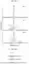 Fig. 35 - NATIVE MICROFLUIDIC CE-MS ANALYSIS OF ANTIBODY CHARGE HETEROGENEITY