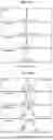 Fig. 40 - NATIVE MICROFLUIDIC CE-MS ANALYSIS OF ANTIBODY CHARGE HETEROGENEITY
