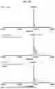 Fig. 44 - NATIVE MICROFLUIDIC CE-MS ANALYSIS OF ANTIBODY CHARGE HETEROGENEITY