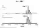 Fig. 46 - NATIVE MICROFLUIDIC CE-MS ANALYSIS OF ANTIBODY CHARGE HETEROGENEITY