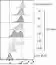 Fig. 01 - METHODS OF SELECTIVELY TARGETING CD6 HIGH CELLS AND DECREASING ACTIVITY OF TEFF CELLS