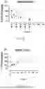 Fig. 07 - METHODS OF SELECTIVELY TARGETING CD6 HIGH CELLS AND DECREASING ACTIVITY OF TEFF CELLS