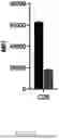 Fig. 35 - METHODS OF SELECTIVELY TARGETING CD6 HIGH CELLS AND DECREASING ACTIVITY OF TEFF CELLS