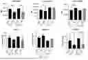 Fig. 48 - METHODS OF SELECTIVELY TARGETING CD6 HIGH CELLS AND DECREASING ACTIVITY OF TEFF CELLS