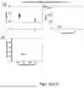 Fig. 09 - KIDNEY FUNCTION BIOMARKERS