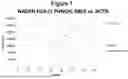 Fig. 08 - Determination of Hematocrit