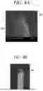 Fig. 06 - PROBE PIN AND METHOD OF MANUFACTURING PROBE PIN