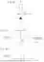Fig. 06 - RANGING DEVICE