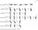 Fig. 06 - METHODS AND APPARATUSES FOR LATENCY REDUCTION IN GESTURE RECOGNITION USING MMWAVE RADAR
