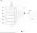 Fig. 08 - Projection device