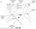 Fig. 09 - VEHICLE CONTROL LOOPS AND INTERFACES