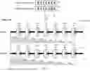 Fig. 02 - METHOD OF MULTIPLE SEQUENCE ALIGNMENT USING CONTINUOUS POSITION SOLVING AND QUANTIZATION WITH BEAD-ATTRACTION MODEL