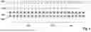 Fig. 04 - Method for performing a data transmission using ethernet as a physical layer with a non-ethernet serial protocol