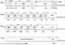 Fig. 07 - FETCHING VECTOR DATA ELEMENTS WITH PADDING