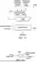 Fig. 08 - FETCHING VECTOR DATA ELEMENTS WITH PADDING