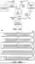 Fig. 09 - Fluid optical database reconstruction methods and applications thereof
