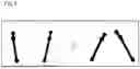 Fig. 07 - DETECTION SYSTEM, DETECTION METHOD, AND STORAGE MEDIUM
