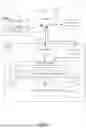 Fig. 02 - MATCHING INFLUENCERS WITH CATEGORIZED ITEMS USING MULTIMODAL MACHINE LEARNING