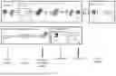 Fig. 02 - METHOD FOR WATERMARKING DEPTH IMAGE BASED ON MIXED FREQUENCY-DOMAIN CHANNEL ATTENTION