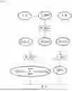 Fig. 02 - METHOD FOR PROCESSING VOLUME IMAGES BY PRINCIPAL COMPONENT ANALYSIS