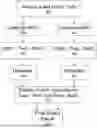 Fig. 01 - DETECTING DEFECTS ON SPECIMENS