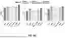 Fig. 08 - QUANTIFICATION OF CONDITIONS ON BIOMEDICAL IMAGES ACROSS STAINING MODALITIES USING A MULTI-TASK DEEP LEARNING FRAMEWORK
