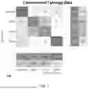 Fig. 08 - System, Method, and Computer Program Product for Classification of Diseases Based on Expansion Microscopic Images