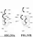 Fig. 32 - IMAGE PROCESSING APPARATUS, IMAGE PROCESSING METHOD, AND STORAGE MEDIUM