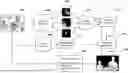 Fig. 01 - Finding the semantic region of interest in images