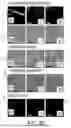 Fig. 13 - SYSTEM AND METHOD OF USING PLASMONIC NANOPARTICLES FOR ANTI-COUNTERFEIT APPLICATIONS