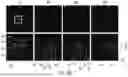 Fig. 17 - SYSTEM AND METHOD OF USING PLASMONIC NANOPARTICLES FOR ANTI-COUNTERFEIT APPLICATIONS