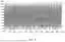 Fig. 04 - Method for sensing display panel, and display panel