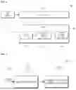 Fig. 02 - DISPLAY DEVICE FOR ADJUSTING GAMMA VOLTAGE AND METHOD FOR OPERATING THE SAME