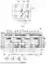 Fig. 05 - Display panel including reflection structure facing opening in transition region and display device including the same