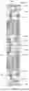 Fig. 05 - Display substrate and method for preparing the same