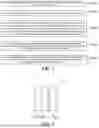 Fig. 02 - Display compensation method and device, and display panel