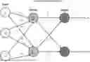 Fig. 01 - Splicing site classification using neural networks