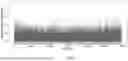 Fig. 07 - SYSTEM AND METHOD FOR ESTIMATING MUTABILITY OF GENOMIC SEGMENTS