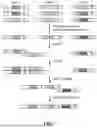 Fig. 08 - Data structures and operations for searching, computing, and indexing in DNA-based data storage