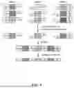 Fig. 09 - Data structures and operations for searching, computing, and indexing in DNA-based data storage