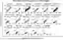 Fig. 01 - SYSTEM AND METHOD FOR PREDICTING ACTIVITY AND SPECIFICITY OF 17 SMALL Cas9s USING DEEP LEARNING