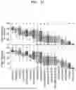 Fig. 04 - SYSTEM AND METHOD FOR PREDICTING ACTIVITY AND SPECIFICITY OF 17 SMALL Cas9s USING DEEP LEARNING