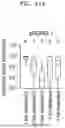 Fig. 44 - SYSTEM AND METHOD FOR PREDICTING ACTIVITY AND SPECIFICITY OF 17 SMALL Cas9s USING DEEP LEARNING