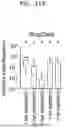 Fig. 45 - SYSTEM AND METHOD FOR PREDICTING ACTIVITY AND SPECIFICITY OF 17 SMALL Cas9s USING DEEP LEARNING